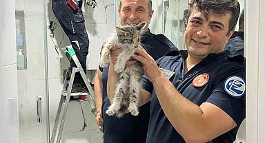 Havalandırma boşluğunda mahsur kalan kediyi itfaiye kurtarıldı