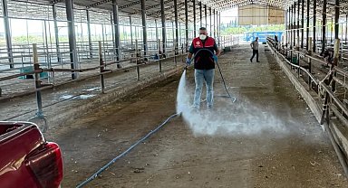 Havran'da kurban bayramı sonrası biyogüvenlik önlemi