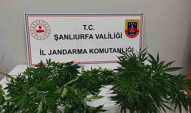 Hilvan'da uyuşturucu ele geçirildi