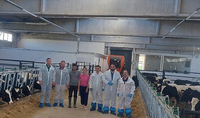 Hisarcık'ta ilk hastalıktan ari büyükbaş işletmesi için önemli adım