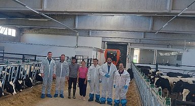 Hisarcık'ta ilk hastalıktan ari büyükbaş işletmesi için önemli adım