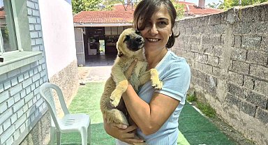 İki gönüllünün şefkat eli yüzlerce sokak hayvanına ulaşıyor