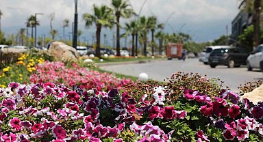 İskenderun sahili renkli çiçeklerle süslendi.