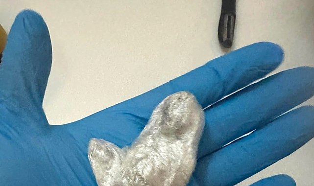İstanbul'da ünlülere uyuşturucu operasyonunda 8,43 gram esrar ele geçirildi