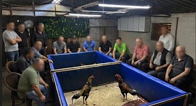 İzmir'de horoz dövüşü operasyonu: Çiftlik mühürlendi, 130 bin lira ceza kesildi