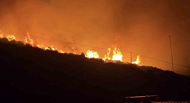 İzmir'de makilik alanda yangın