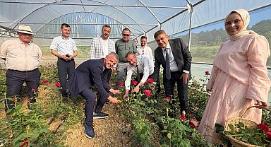 Kadın girişimci hibe desteğiyle Kocaeli'nin ilk gül serasını kurdu