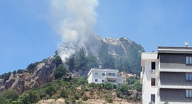 Kahramanmaraş'ta orman yangını