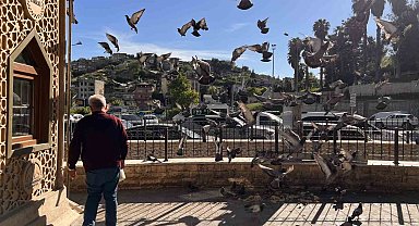 Kahramanmaraş'ta taksici esnafının yol arkadaşı güvercinler