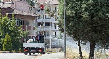 Karabük'te sinek ve haşereyle mücadele çalışmaları sürüyor