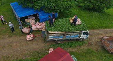 Karadeniz insanı yine zekasını konuşturdu, zor işi kolaylaştırdı