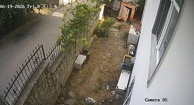 Karganın yumurta hırsızlığı kameraya yansıdı