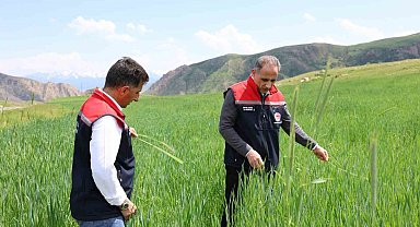 Kars'ta fenolojik gözlem çalışmaları sürüyor