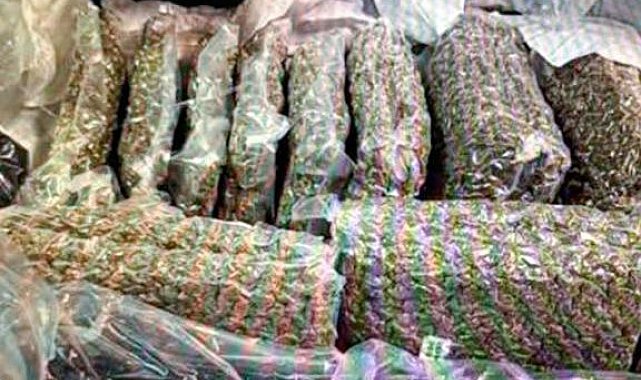 Kazakistan'da bagajında 21 kilo esrar taşıyan kadın gözaltına alındı