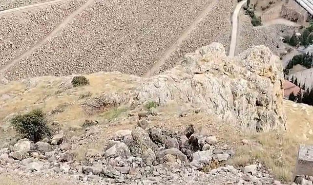 Keban'da dağ keçileri sürü halinde görüldü