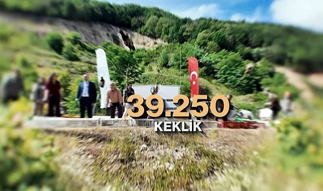 Kene ve kahverengi kokarcaya karşı doğal mücadele: 51 bin keklik ve sülün salınacak