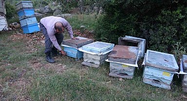 Keven ve kekik balı için yayla yolculuğu başladı