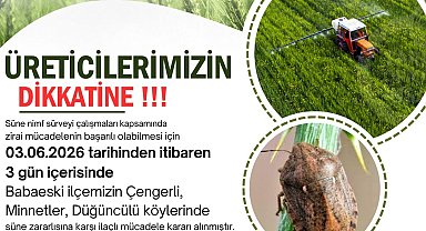 Kırklareli'nde süne zararlısına karşı ilaçlama uyarısı