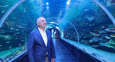 Kocaeli'de dev akvaryum kapılarını açıyor