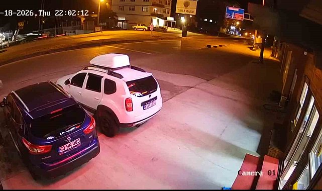 Köpeğe çarpmamak için yaptığı manevra hayatına mal oldu