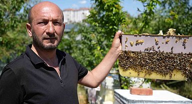 Korkmadan temas edebildiği arılarla 5 senedir birlikte yaşıyor