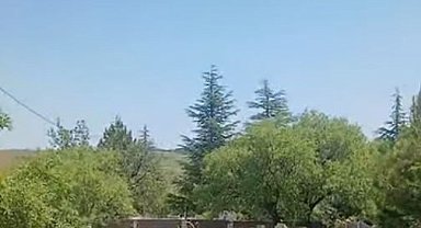 Koruma altındaki dağ keçileri Harput mezarlıklarında görüntülendi