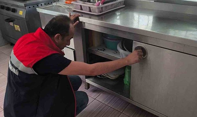 Köşk İlçe Tarım denetimlerini sürdürüyor