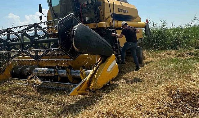 Köşk'te hububat hasadında dane kaybına karşı sıkı denetim