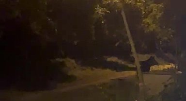 Köye inen ayı köylülere heyecan ve korku yaşattı