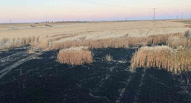 Kulu'da arpa ekili tarlada yangın