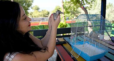 Kuşadası Belediyesi yuvadan düşen ala karga yavrusuna sahip çıktı