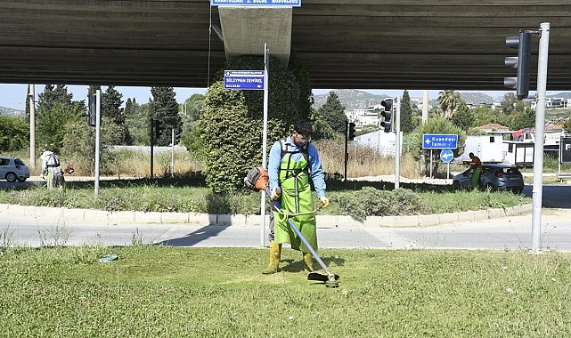 Kuşadası'nda yeşil alanlar bakıma alındı