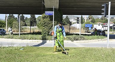 Kuşadası'nda yeşil alanlar bakıma alındı
