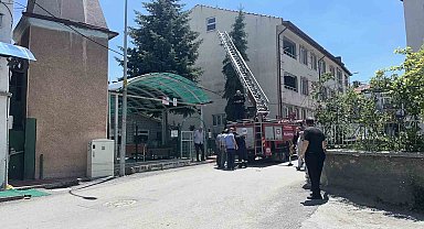 Kütahya'da ağaca takılan serçe itfaiye ekiplerince kurtarıldı