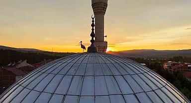 Leylekler gün batımını cami kubbesinde karşıladı, mest eden anlar havadan görüntülendi