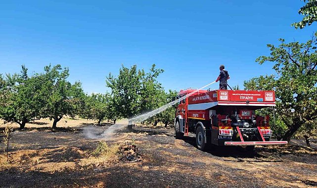 Malatya'da bahçe ve orman yangını
