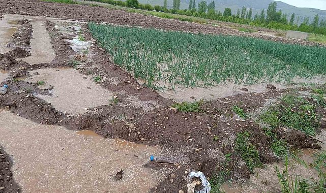 Malatya'da dolu yağışı tarım arazilerini sular altında bıraktı