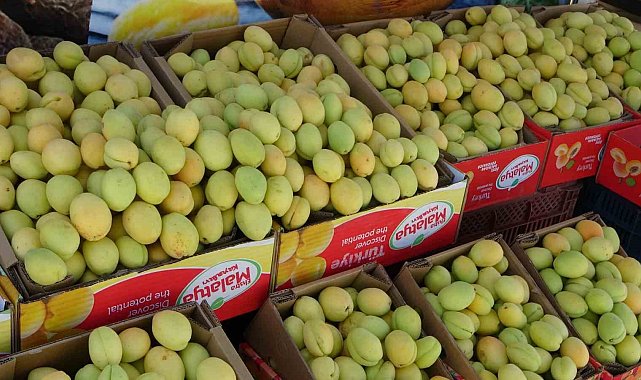 Malatya'da yaş kayısı tezgahlarda yerini aldı