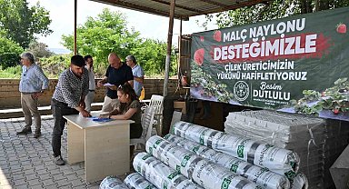 Manisa Büyükşehir'den çilek üreticilerine malç naylonu desteği