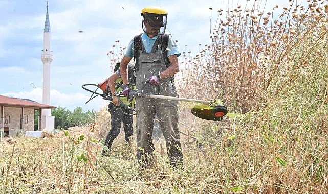 Manisa'da yangın riskine karşı yabani otlar temizleniyor