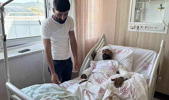 Mantar toplarken ayı saldırısına uğradı, kollarıyla başını siper ederek hayatta kaldı