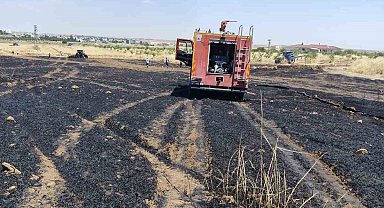 Mardin'de 40 dönüm buğday ekili alan yangında zarar gördü