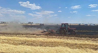 Mardin'de 80 dönüm buğday ekili alan küle döndü