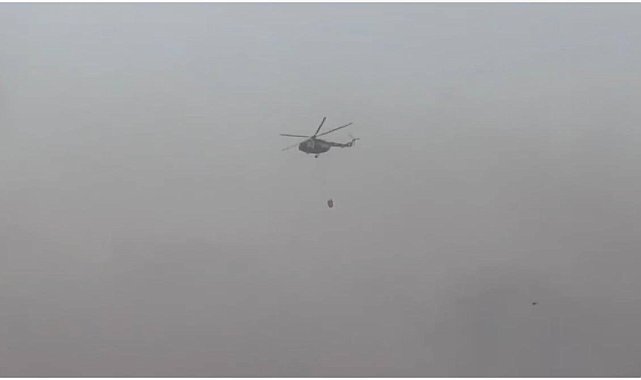Mardin'de çıkan örtü yangınına havadan ve karadan müdahale ediliyor