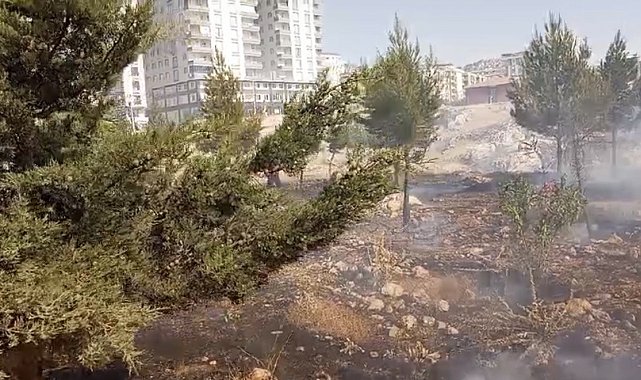 Mardin'de farklı noktalarda çıkan yangınlara müdahale sürüyor