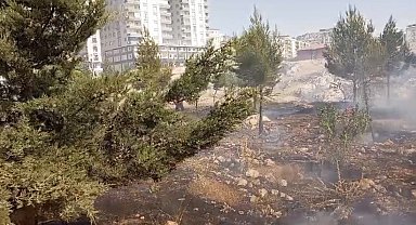 Mardin'de farklı noktalarda çıkan yangınlara müdahale sürüyor