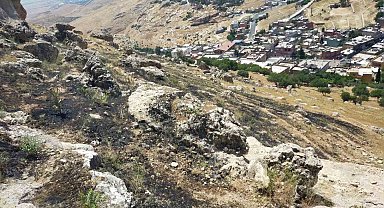 Mardin'de ormanlık alanda çıkan yangın söndürüldü