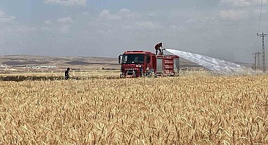 Mardin'de yaklaşık 300 dönüm ekili alan alevlere teslim oldu