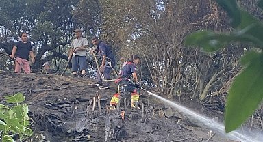 Marmara'da çıkan ot yangını ormana sıçramadan söndürüldü