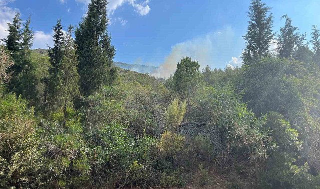 Marmaris'te yıldırım kaynaklı orman yangını